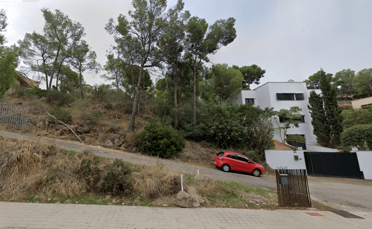 Imagen 2